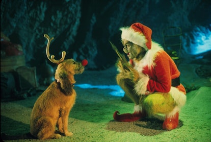 381271 02: The Grinch, Played By Jim Carrey, Conspires With His Dog Max To Deprive The Who's Of Thei...