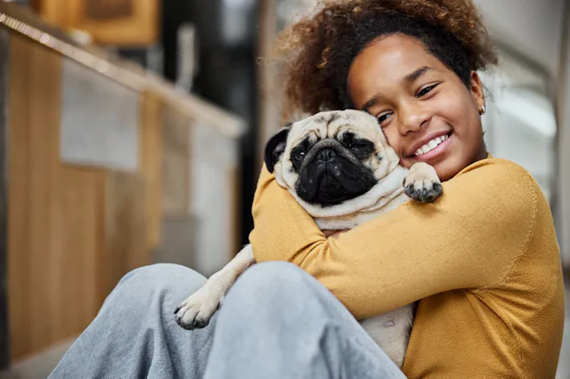 What would you name this Pug? Apparently the most popular Pug name is Bella.