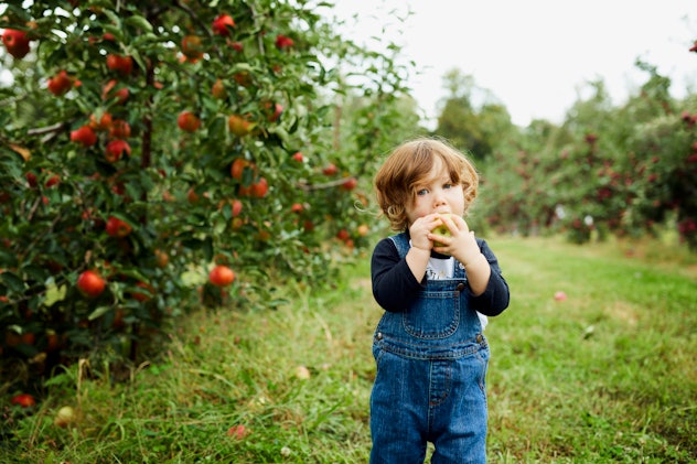 Toddler in orchard, a place of inspiration for fruit baby names