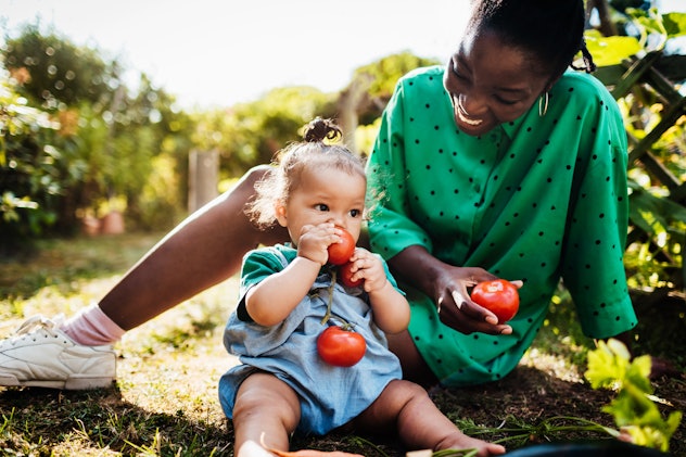 A young baby sitting in the back garden and eating fresh, home grown tomatoes with her mom, inspirat...