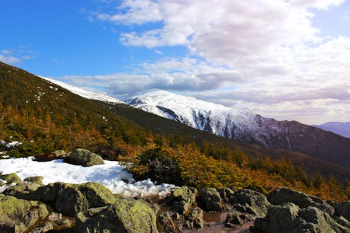 the white mountain national forest
