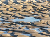 Water disappearing in sand on the beach, global warming, water shortage scarcity concept