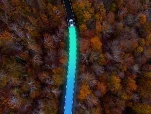 Directly above picture made by drone of an electric car driving through autumn forest, leaving behin...