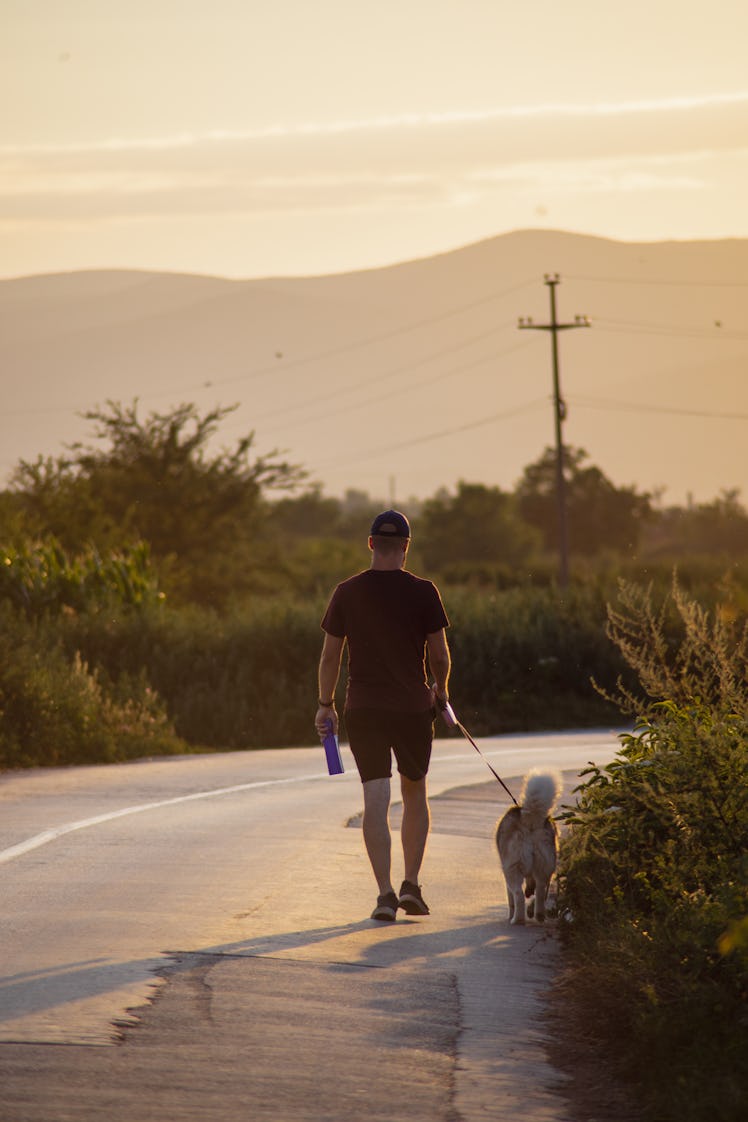Young man walking his husky dog roadside on a summer afternoon. The boy is holding water in a bo...