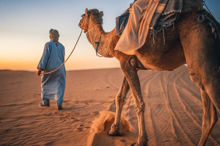 Moroccan Camel Driver leading Asian Chinese female tourist crossing Sahara Desert in evening