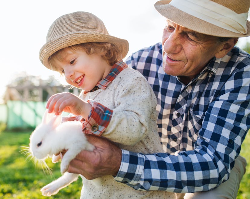 Old man with grandson petting rabbit in a story about kids easter outfits 2023.