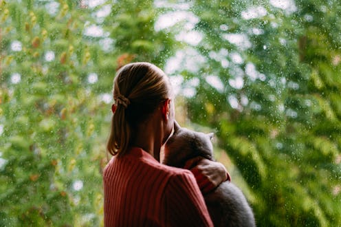 A Women With Her Cat Looking at the Window on a Rainy Day