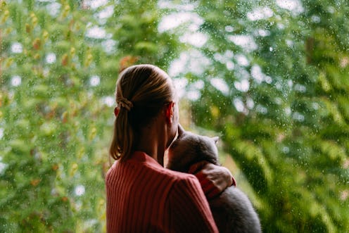 A Women With Her Cat Looking at the Window on a Rainy Day