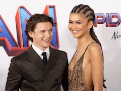 Tom Holland and Zendaya on the red carpet