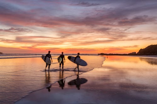 Surfers at sunset walking on beach, Playa Guiones, Nosara, Guanacaste, Costa Rica