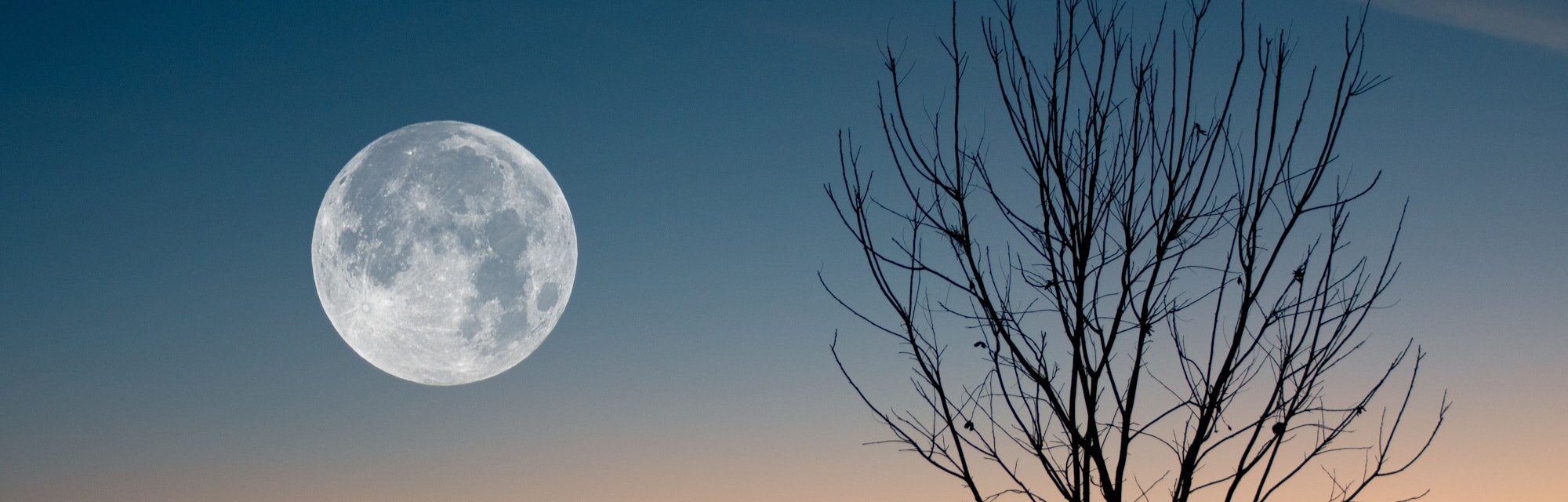 These three zodiac signs will be least affected by the February full snow moon.