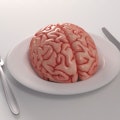 Human brain on a dinner plate, computer artwork.