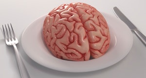 Human brain on a dinner plate, computer artwork.