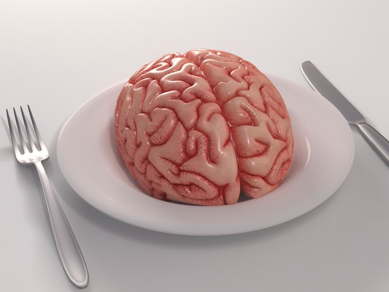 Human brain on a dinner plate, computer artwork.