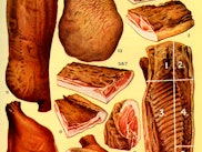 Mrs Beeton s cookery book  - bacon and ham (from 1 to 12): Forelock, Collar, Streaky, Prime  - back,...
