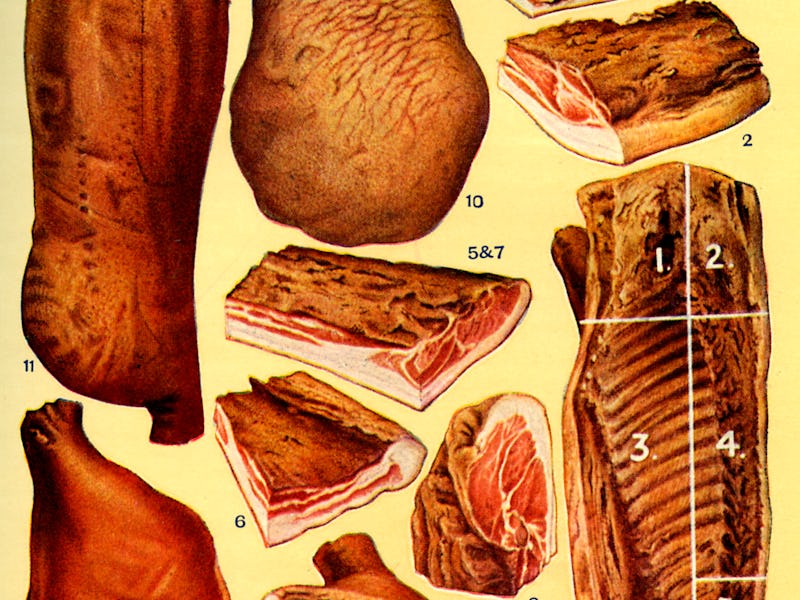 Mrs Beeton s cookery book - bacon and ham (from 1 to 12): Forelock, Collar, Streaky, Prime - back,...