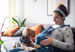 pregnant woman relaxing with pet dog wondering if dogs can sense labor