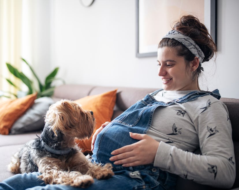 pregnant woman relaxing with pet dog wondering if dogs can sense labor