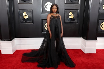 2023 Grammys red carpet