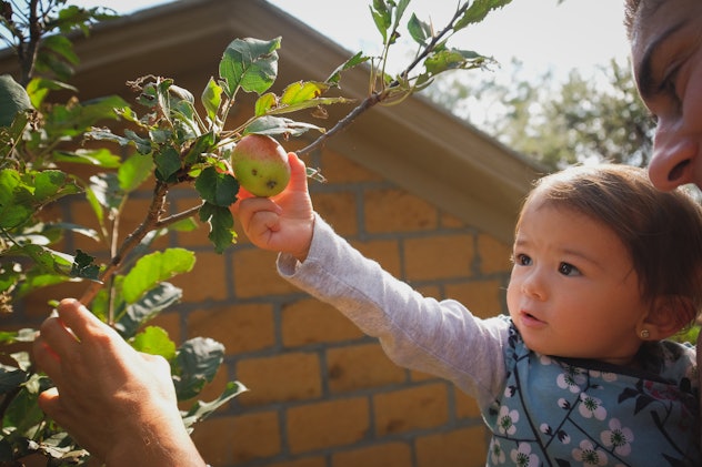 Little girl picking apples in a story about fruit baby names.