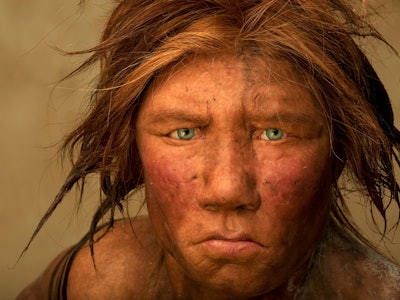 The Neanderthal woman was re-created and built by Dutch artists Andrie and Alfons Kennis. Research i...
