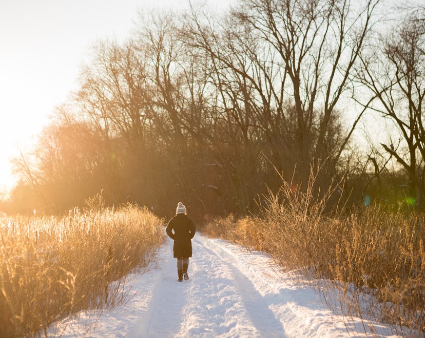 Snowy road through grassland of marsh with woman walking alone. Wintering with Katherine May