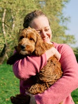 UK, Essex, woman holding her Cockapoo dog in a green field on an early spring morning