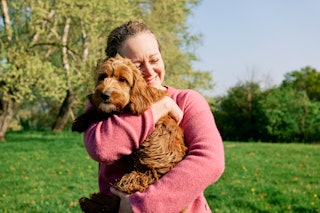 UK, Essex, woman holding her Cockapoo dog in a green field on an early spring morning