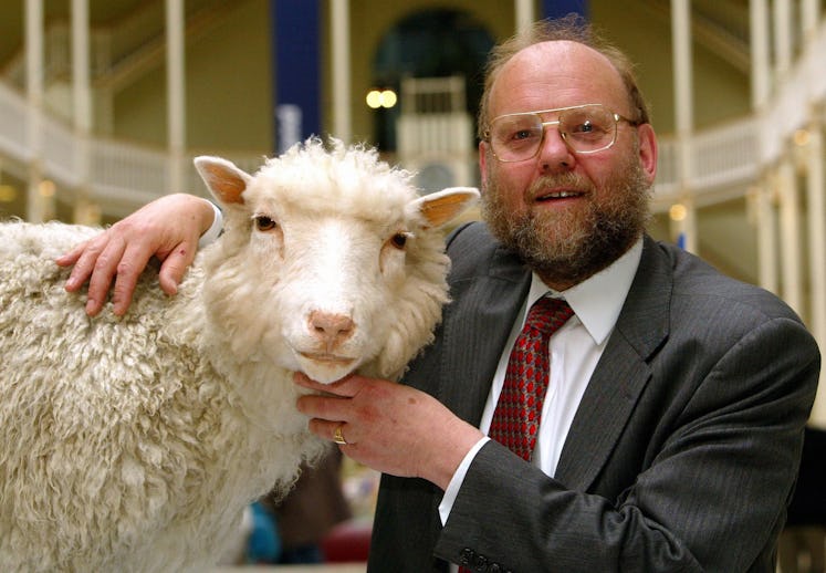 Professor Ian Wilmut of the Roslin Institute pictured, with his old friend, "Dolly", the world s fir...