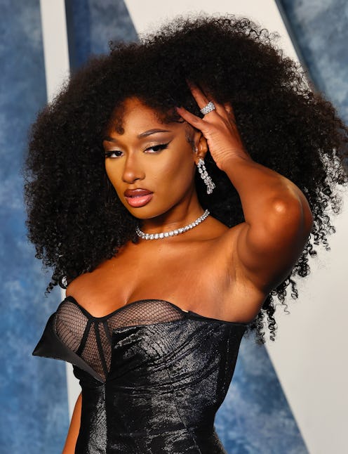 Megan Thee Stallion stunned with no makeup & big, natural hair in a March 2023 Instagram selfie. Her...