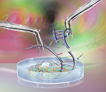 Genetic engineering, conceptual illustration.