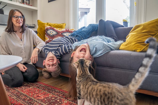 a family plays with a cat in a list of April Fools' cat pranks