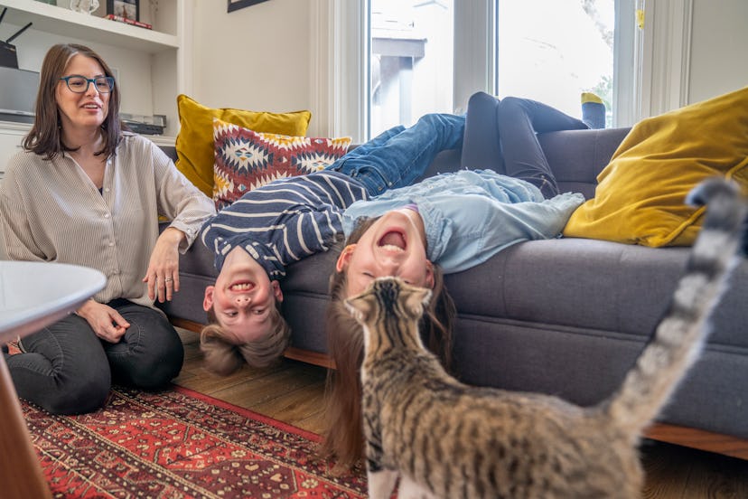 a family plays with a cat in a list of April Fools' cat pranks