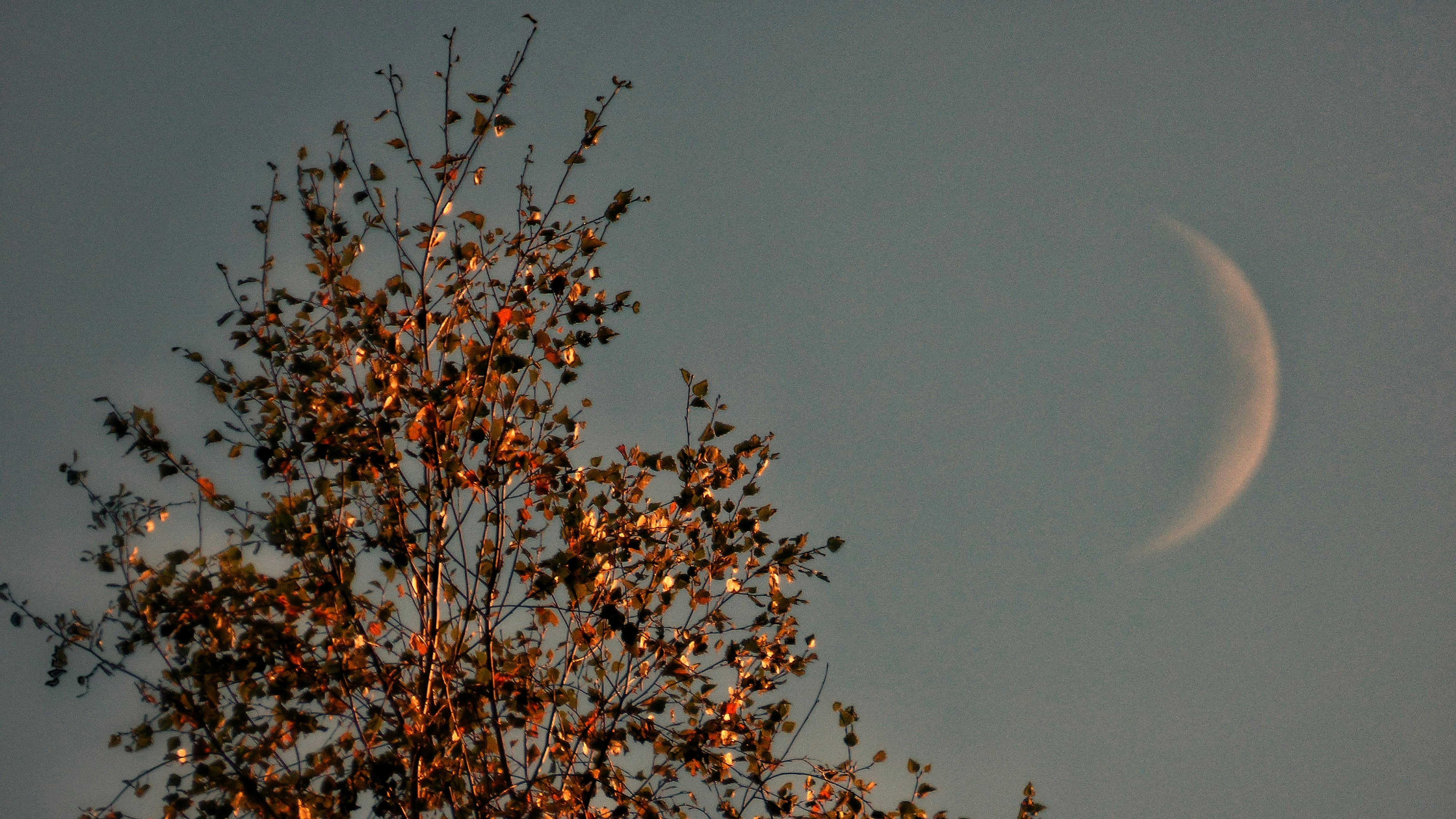 Make sure to follow these March new moon do's and don'ts from an astrologer.