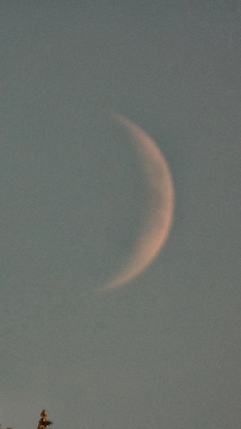 Make sure to follow these March new moon do's and don'ts from an astrologer.