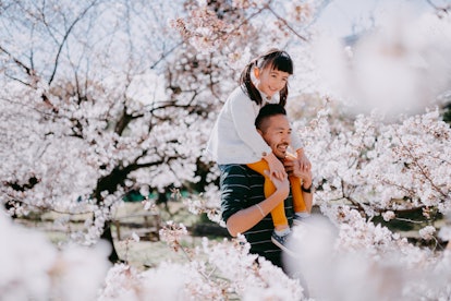 Girl on dad's shoulders looking at cherry blossoms in spring quotes roundup
