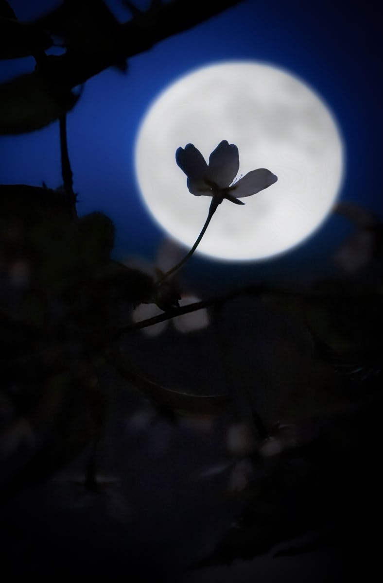 Springtime