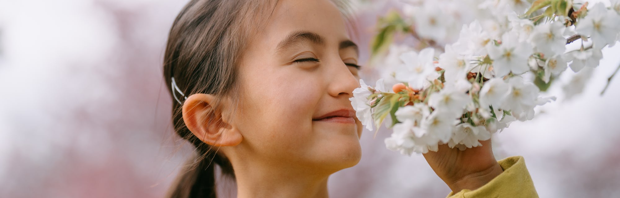 Cute young girl smiling with sakura cherry blossoms, Tokyo, Japan