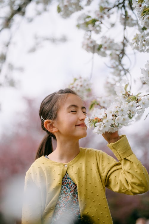 Cute young girl smiling with sakura cherry blossoms, Tokyo, Japan