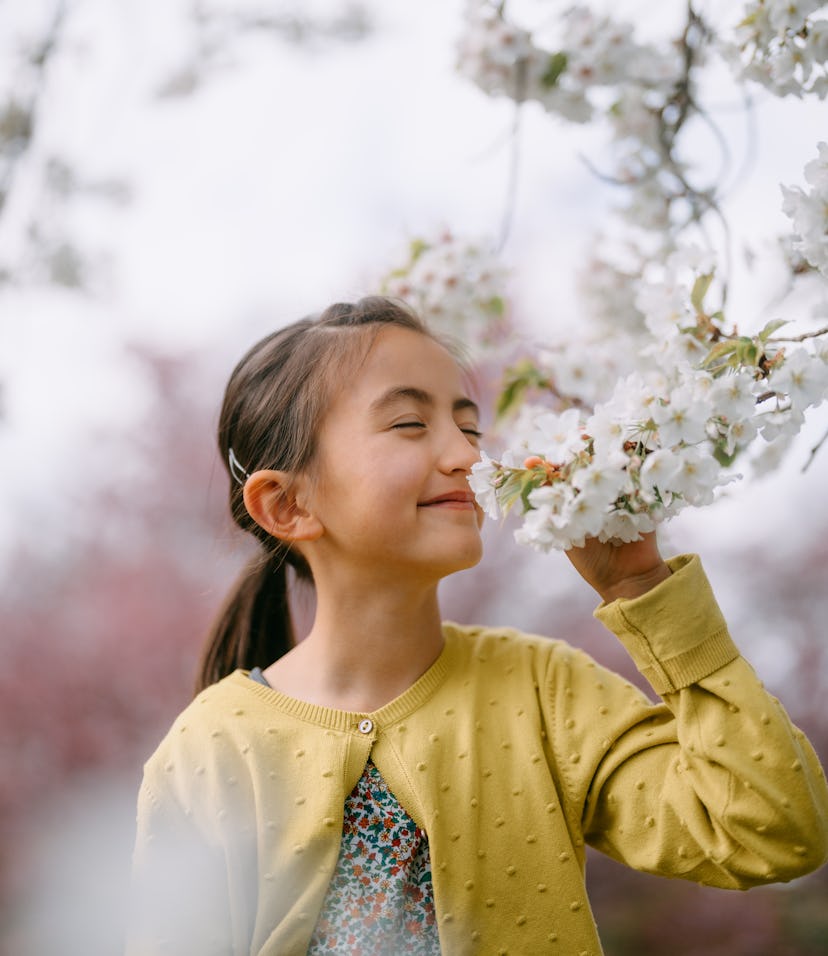 Cute young girl smiling with sakura cherry blossoms, Tokyo, Japan