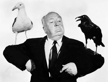 Picture taken in 1963 of British film director Alfred Hitchcock (1899-1980) during the shooting of h...