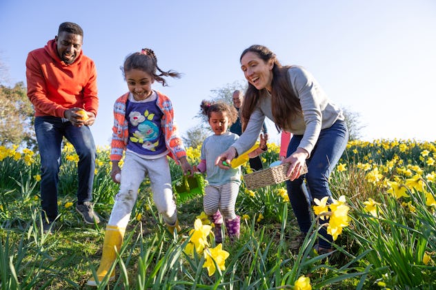 A multi-gen family walking through a field of daffodil flowers on Easter in a list of easter bunny i...