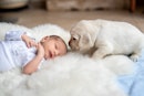 一个婴儿和一只小狗。