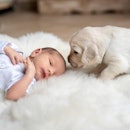A baby with a puppy.