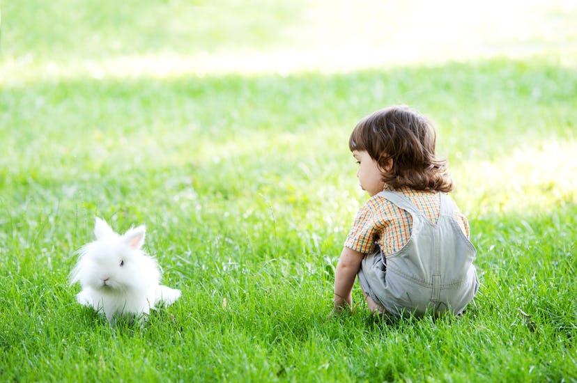 Little boy playing with a white bunny in the grass, Bunny is a cute baby name that evokes good luck