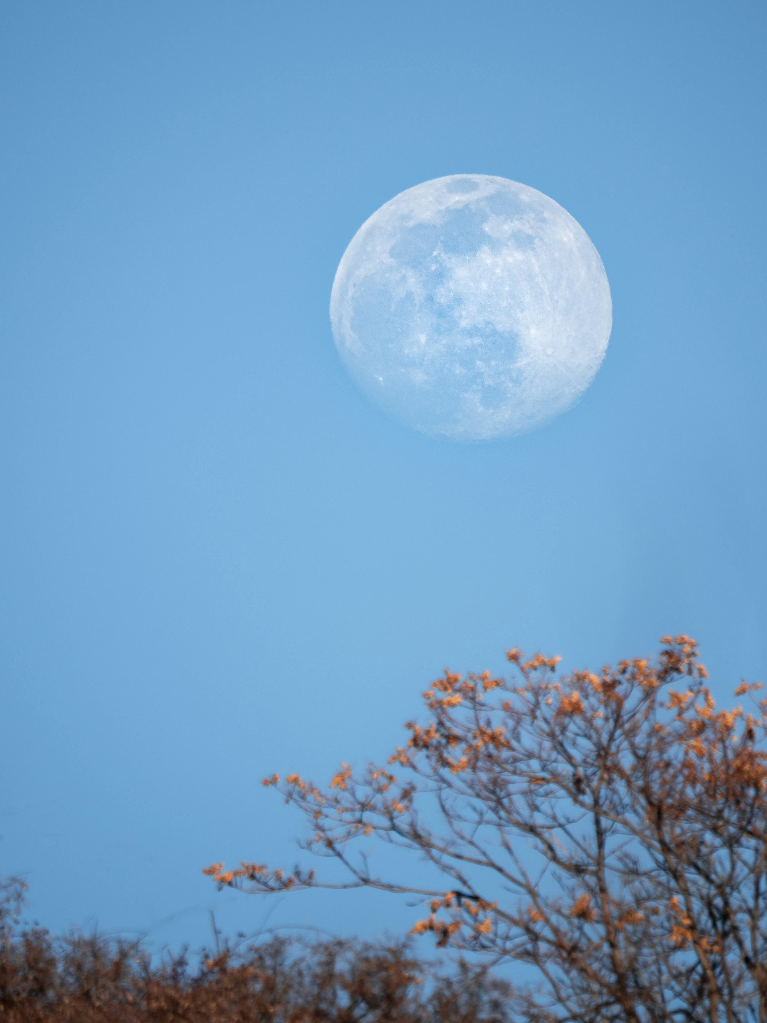 Check out these dos and don'ts for the April 2023 full Pink Moon.