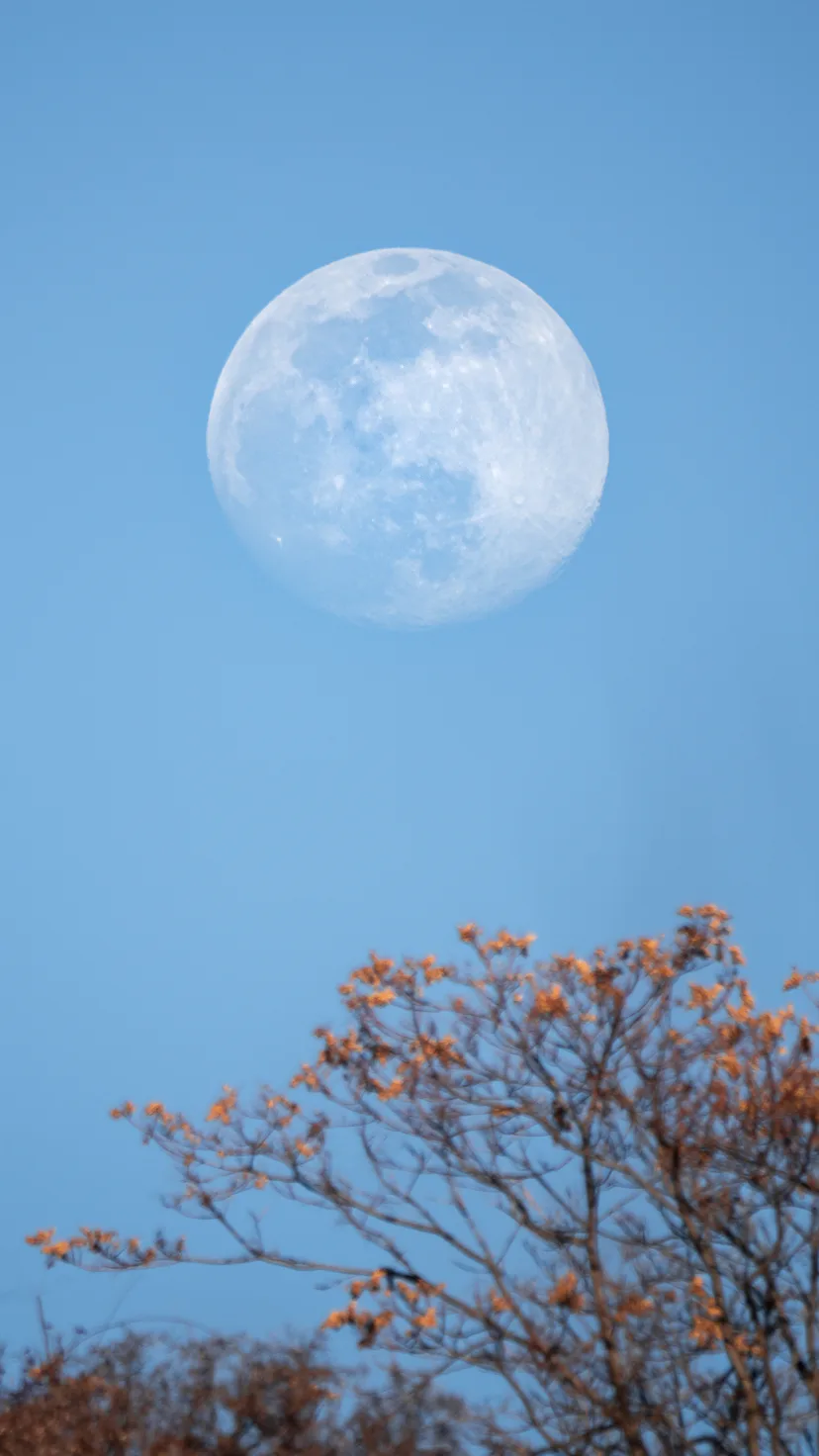 Check out these dos and don'ts for the April 2023 full Pink Moon.