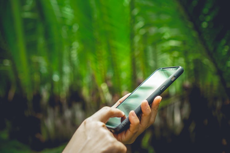 Woman hand using smartphone beautiful nature tropical green background. Business, financial, trade s...