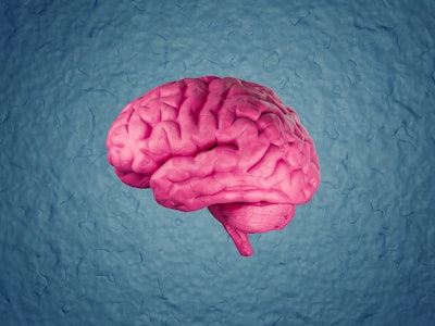 digitally generated computer graphic illustration image of a human brain with a modeling clay textur...