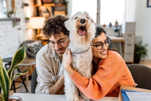 Couple examining dog health using online advices at home. Happy smiling couple having fun with their...